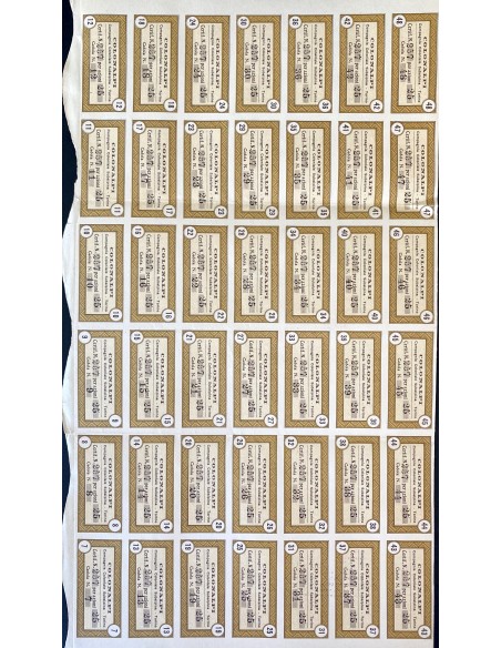 1940 - COLONALPI COMPAGNIA COLONIALE SUBALPINA - 25 AZIONI - TORINO