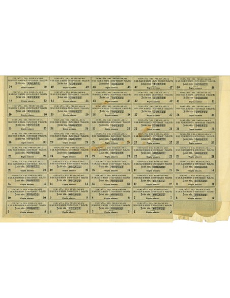 1897 - FERROCARRIL DE SAN JULIAN DE MUSQUES A CASTRO-URDIALES Y TRASLAVINA COMP. DEL (AZIONE)