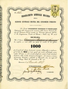 1857 - PROSCIUGAMENTO ARTIFICIALE MECCANICO DELLA SEZIONE...