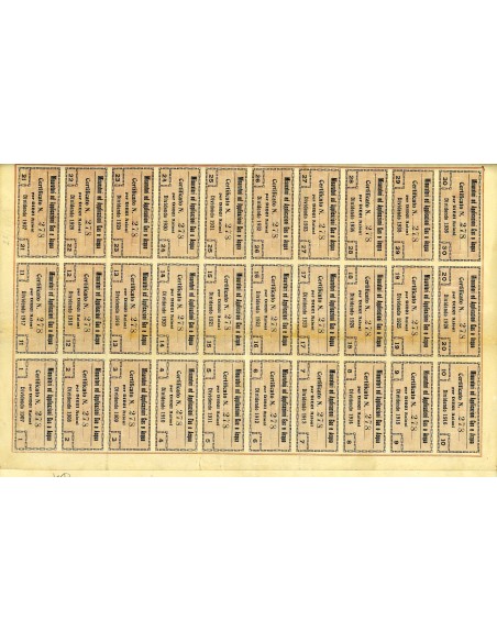 1907 - MISURATORI ED APPLICAZIONI GAS E ACQUA 10 AZIONI - TORINO