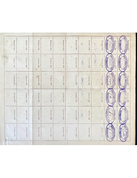 1920 - SOCIETA' IDRO ELETTRICA BOVESANA 1 AZIONE DA LIRE 100 - BOVES