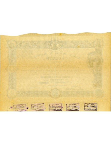 1907 - FULGOR - SOC. ANONIMA DI ELETTRICITA' 25 AZIONI - GENOVA