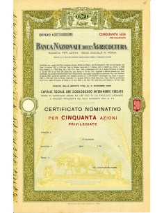 1921 - BANCA NAZIONALE DELL AGRICOLTURA - 50 AZIONI...