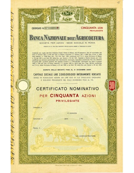 1921 - BANCA NAZIONALE DELL AGRICOLTURA - 50 AZIONI PRIVILEGIATE - ROMA
