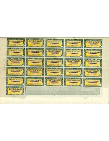 1946 - BANCA NAZIONALE DELL AGRICOLTURA - 1 AZIONI NOMINATIVA - ROMA