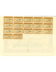 1920 - MERCANTILE ITALIANA SOC. AN. IMPORTAZIONI ED... 2