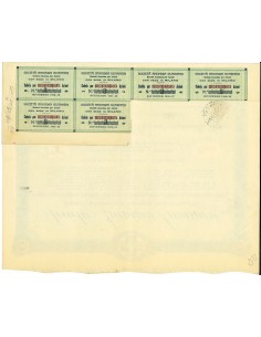 1920 - GUARNERI S.A. FABBRICA DI MEDICAZIONE 250 AZIONI -... 2