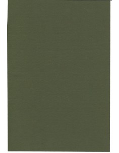 BANCA ERCTA - 4 AZIONI - 1910 2