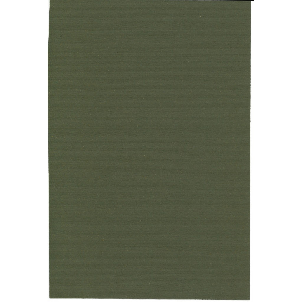 1910 - BANCA ERCTA DI SCONTI MUTUI E CESSIONI -...