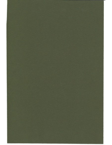 1910 - BANCA ERCTA DI SCONTI MUTUI E CESSIONI - 4 AZIONI - PALERMO