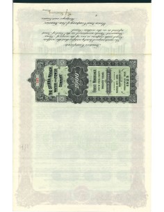 THE SIERRA NEVADA WATER AND POWER COMPANY - 1000 DOLLARI - 1905 2