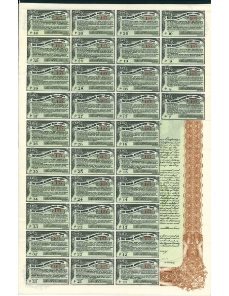 1905 - THE SIERRA NEVADA WATER AND POWER COMPANY - GOLD BOND $ 1.000