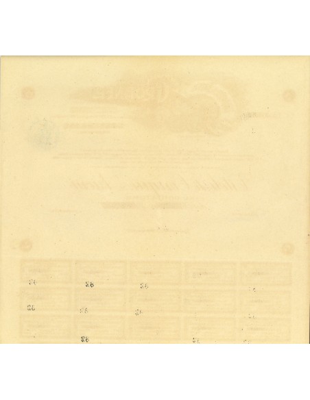 1921 - FABBRICA DI BIRRA LUDWIG GROBNER 5 AZIONI - GOSSENSASS