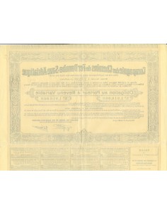 1923 - CHEMINS DE FER DANUBE-SAVE-ADRIATIQUE COMP. DES 2