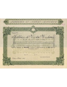 FABBRICA DI NASTRI MADERNA - AZIONI - INTRA 1918