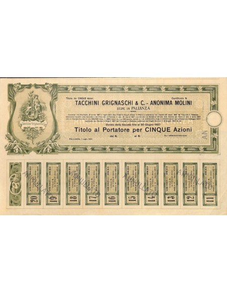 TACCHINI GRIGNASCHI E C. - ANON. MOLINI 5 AZIONI PALLANZA 1907