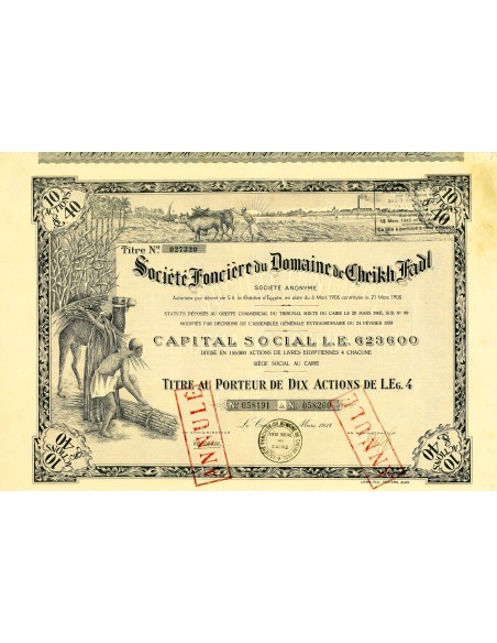 1938 - FONCIERE DU DOMAINE DE CHEIKH FADL - CAIRO
