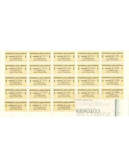 1905 - COTONIFICIO LUIGI CANDIANI - 5 AZIONI