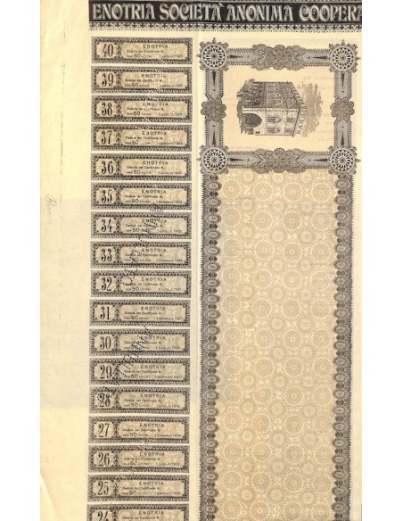 ENOTRIA SOC. ANON. COOP. EDILIZIA - 50 AZIONI GENOVA 1906