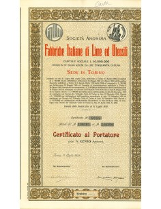 1924 - FABBRICHE ITALIANE DI LIME ED UTENSILI - 100 AZIONI