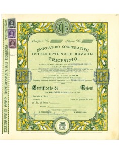 1920 - ESSICATOIO COOPERATIVO INTERCOMUNALE BOZZOLI...