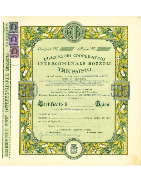 1920 - ESSICATOIO COOPERATIVO INTERCOMUNALE BOZZOLI TRICESIMO - 25 SHARES