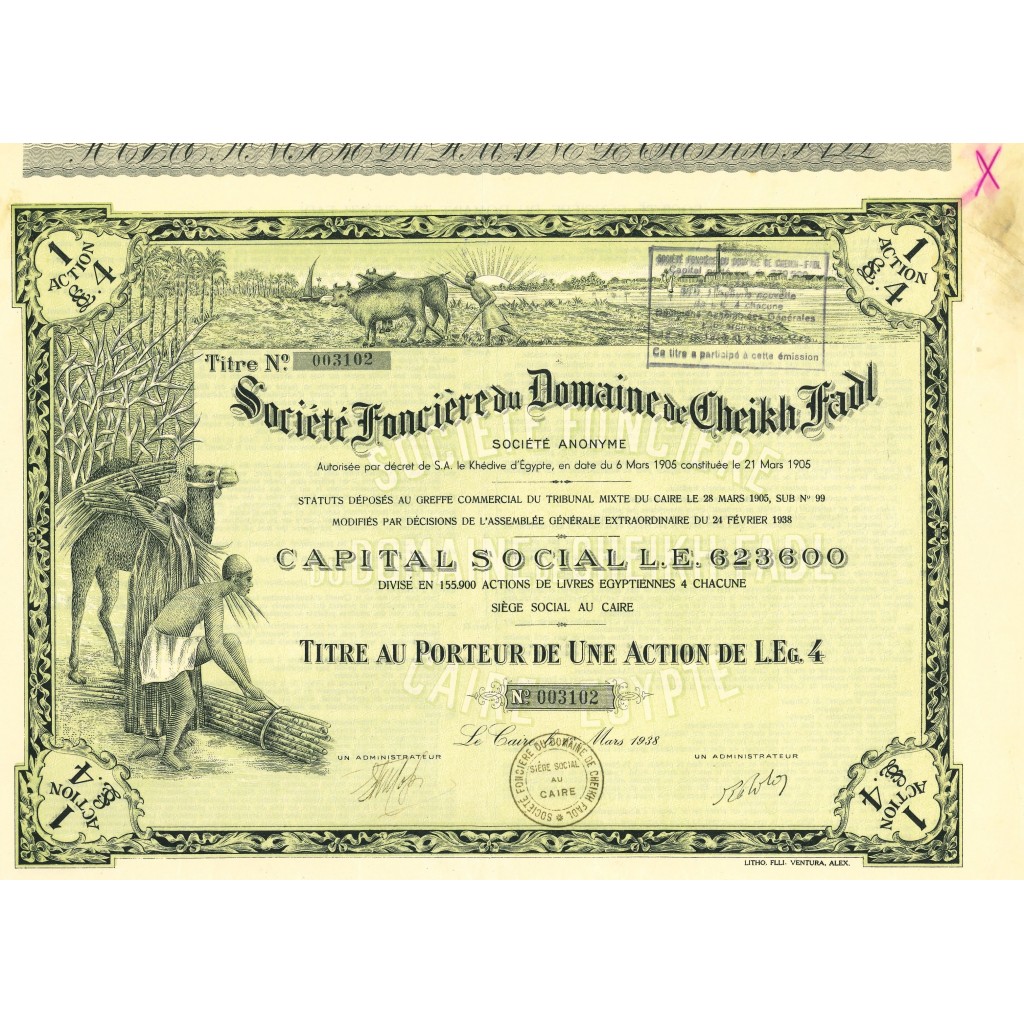 1905 - SOCIETE' FONCIERE DU DOMAINE DE CHEIKH...