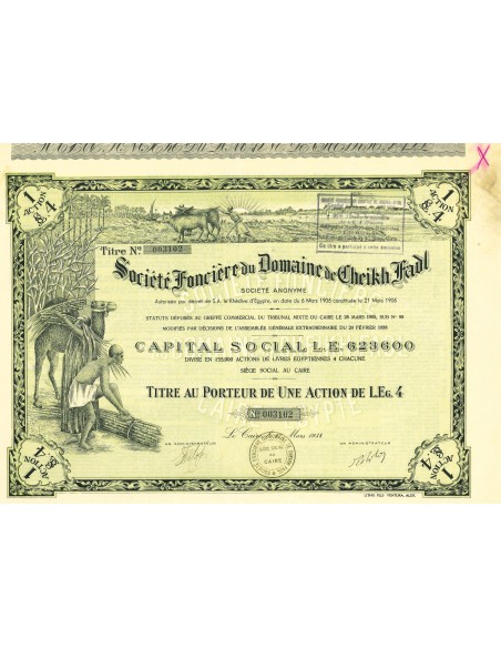 1905 - SOCIETE' FONCIERE DU DOMAINE DE CHEIKH FAOL - 1 SHARE