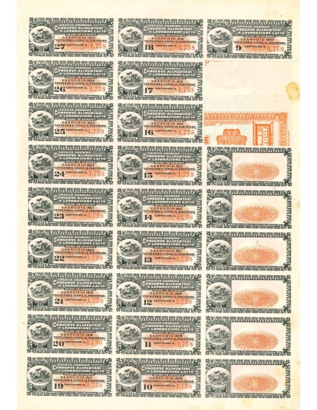 1905 - SOCIETA' ANONIMA CONSERVE ALIMENTARI E LAVORAZIONE LATTA - 25 SHARES