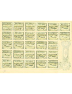 1921 - SOCIETA' ADRIATICA PER PESCA E TRASPORTI - 5 AZIONI 2