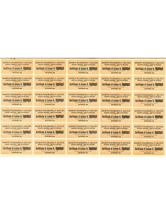 1901 - FRANCESCO SALVATI IN FOLIGNO - SHARES 2