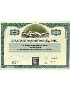1998 - SILICON MOUNTAINS - 2 AZIONI