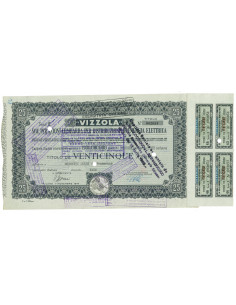 1962 - VIZZOLA SOC. PER AZIONI PER LA DISTRIBUZIONE DI...