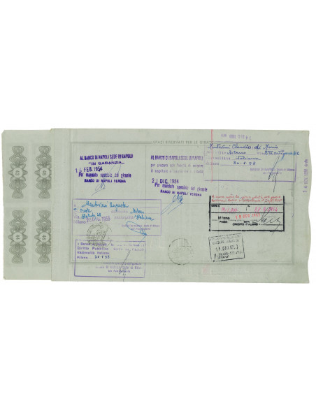 1954 - VIZZOLA SOC. PER AZIONI PER LA DISTRIBUZIONE DI ENERGIA ELETTRICA - 50 AZIONI - MILANO