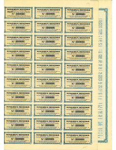 MINERVA MOTORS - AZIONE SENZA VALORE - 1903 2