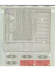 1951 - TERNI - SOCIETA' PER L' INDUSTRIA E L'... 2