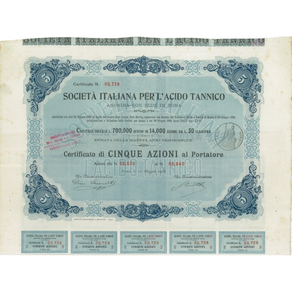 SOC. ITALIANA PER L'ACIDO TANNICO 5 AZIONI ROMA 1906