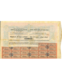 1879 - STRADE FERRATE MERIDIONALI DELLO STATO  DEL REGNO... 2