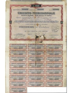 CREDITO MERIDIONALE - 10 AZIONI - NAPOLI 1920