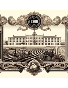 COMPANHIA AGRICOLA DO MORIBANE - 25 AZIONI - 1900 2