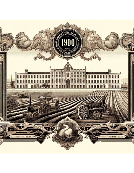 1900 - COMPANHIA AGRICOLA DO MORIBANE - 25 AZIONI