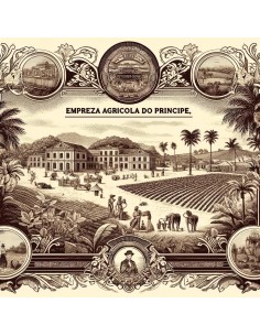 EMPREZA AGRICOLA DO PRINCIPE - 20 AZIONI - 1923 2