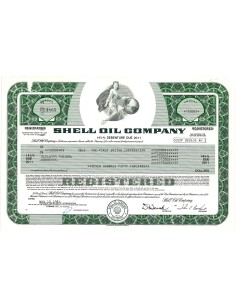 1981 - SHELL OIL COMPANY