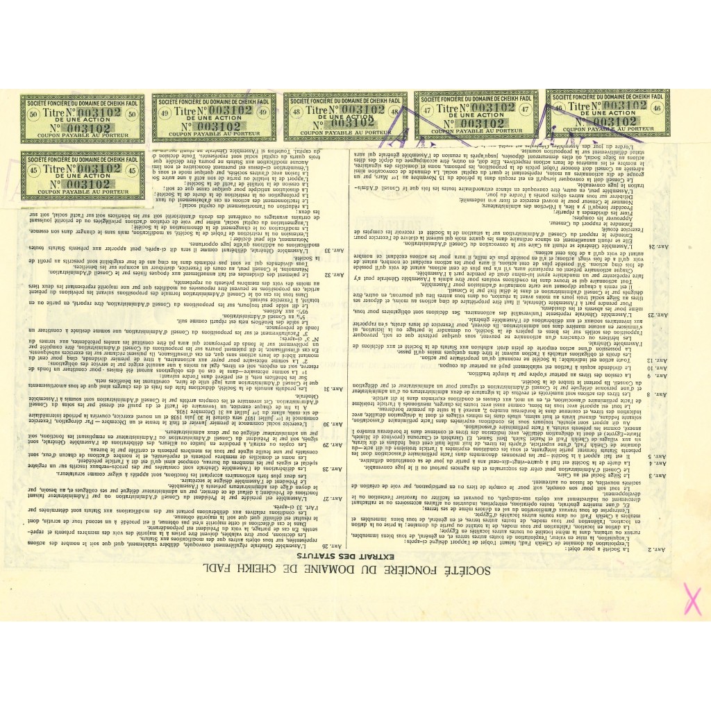 1905 - SOCIETE' FONCIERE DU DOMAINE DE CHEIKH...