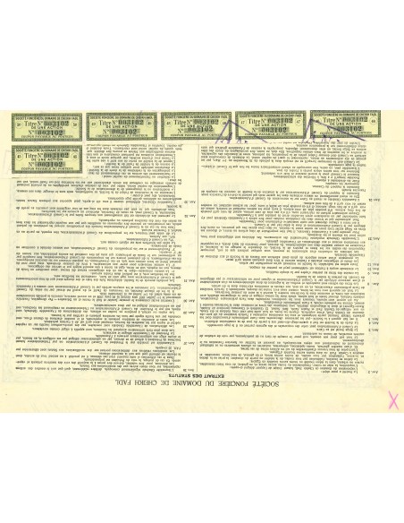1905 - SOCIETE' FONCIERE DU DOMAINE DE CHEIKH FAOL - 1 AZIONE