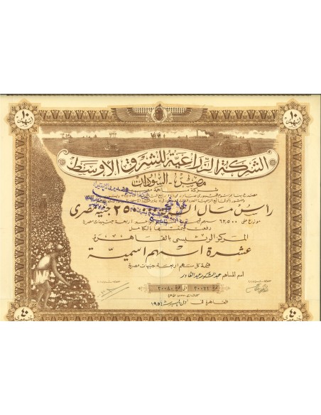 1951 - AGRICOLA DEL MEDIO ORIENTE SOC. - 10 AZIONI - CAIRO