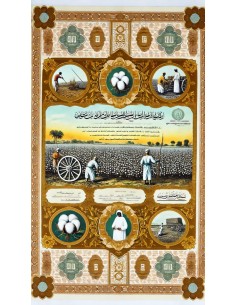 1951 - AGRICOLA DEL MEDIO ORIENTE SOC. - 10 AZIONI - CAIRO 2