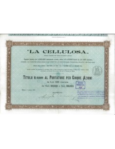 LA CELLULOSA - 5 AZIONI MILANO 1905