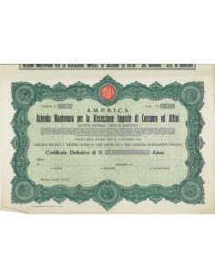 A.M.P.R.I.C.A. - AZIONI MANTOVA 1933