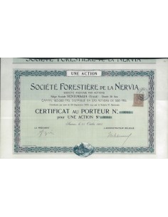 SOC. FORESTIERE DE LA NERVIA 1 ACTION SANREMO 1905